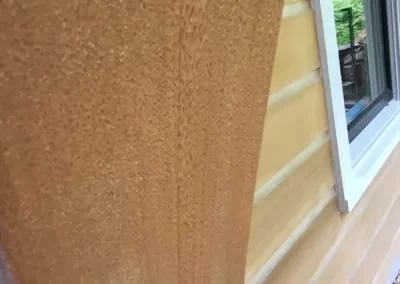 Professional Painting Contractor